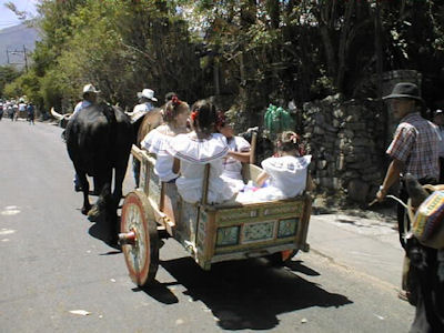Carreta Típica