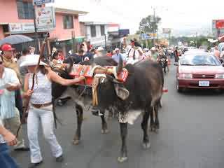 Carreta Típica