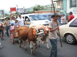 Carreta Típica
