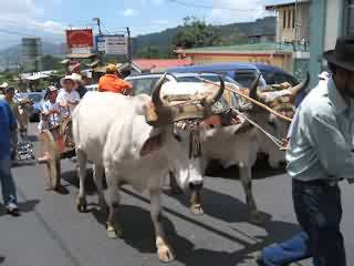 Carreta Típica