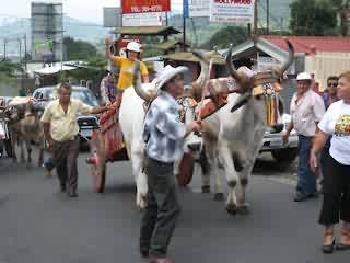Carreta Típica