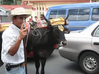 Carreta Típica