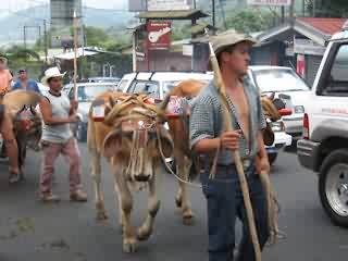 Carreta Típica