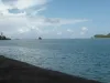 amanecer_boca_de_sierpe_osa