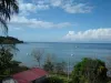 bahia_drake_agujitas_osa