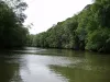 canales_naturales_del_rio_sierpe_osa