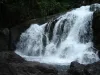 riqueza_de_las_aguas_de_osa