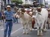 carreta02
