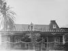 acacias_old02
