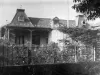 acacias_old03