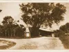 sanpedro01
