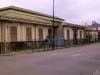 mauro_fernandez05 mauro_fernandez05