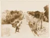 sanjose058.webp