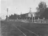 sanjose135.webp