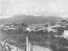 sanjose184.webp