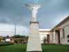 71686524