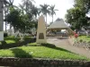 DSC03340