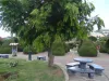 zarcero15