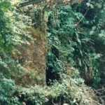 Hondura