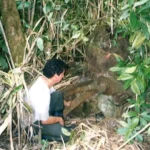 Hondura