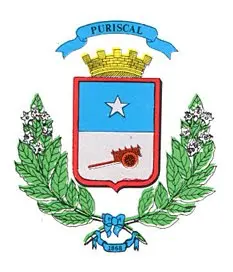 Escudo cantón de Puriscal