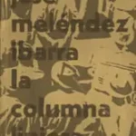 La Columna Liniera Columna liniera