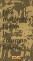 Columna liniera